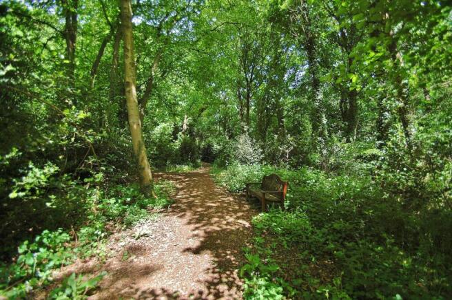 Woodland Walks