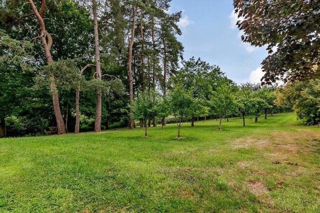 Orchard