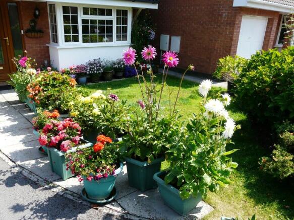 Front garden