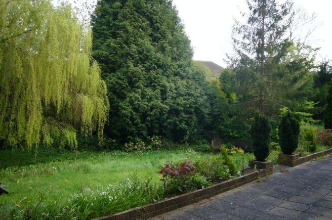 Patio and Garden