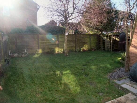 Photo 12