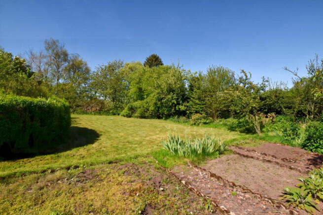 A Garden 5