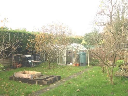 Veg Garden