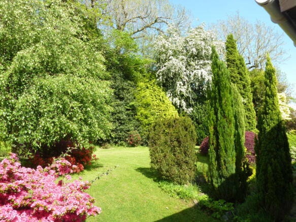 Photo 13
