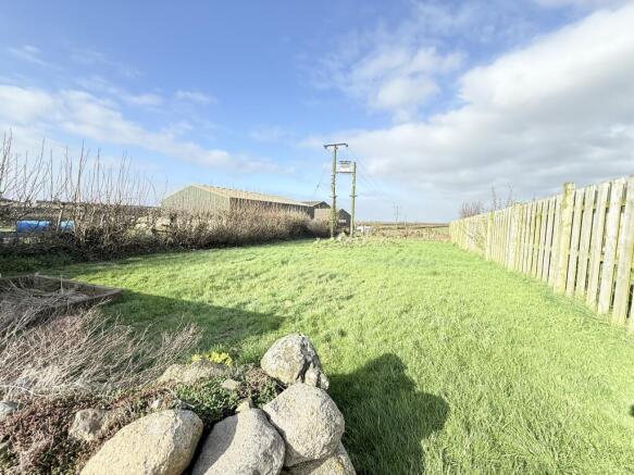 IMG 3260 T202603180955.jpg