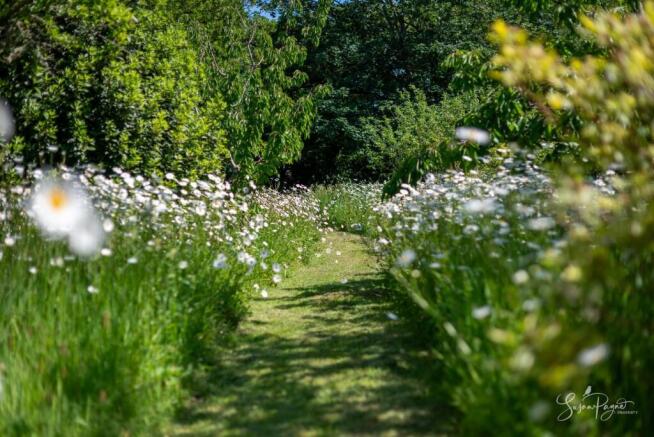 Meadow/Orchard