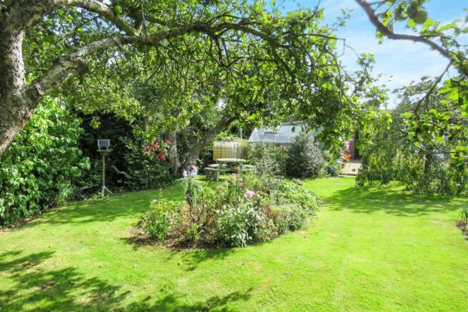 garden 2 .JPG