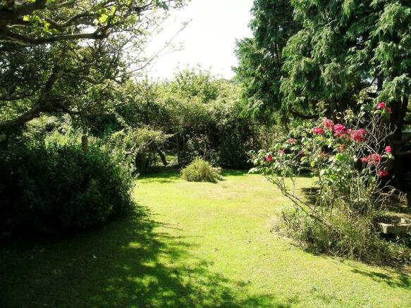 MATURE GARDEN