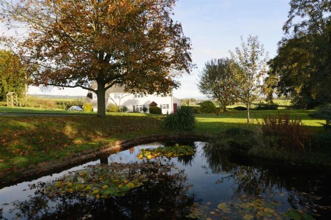Pond