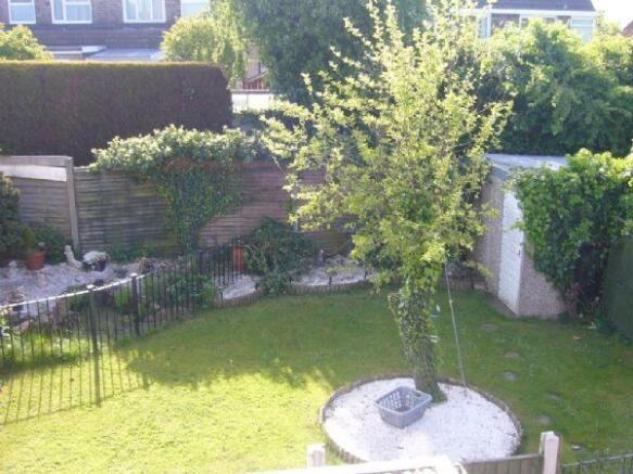 Photo 10