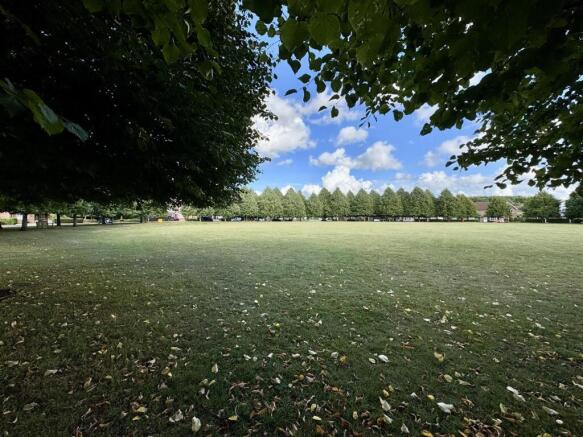 Pippen Green to Front