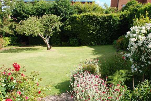 Front garden