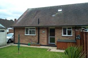 Rear Aspect