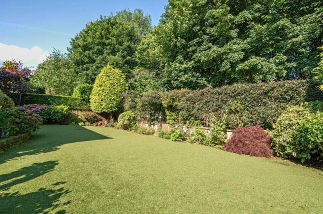 Back garden