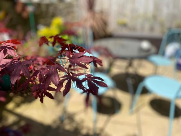 Photograph 24