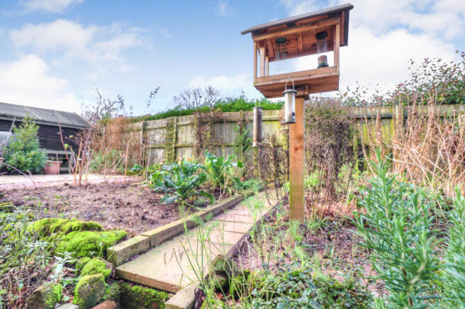 Vegetable Patch