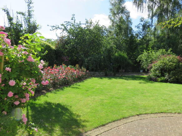 Photo 17