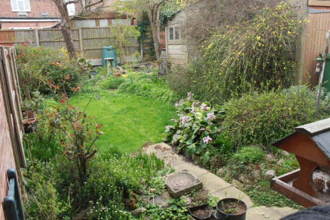 Photo 11