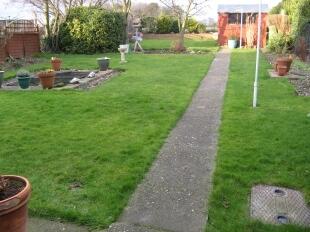Garden.