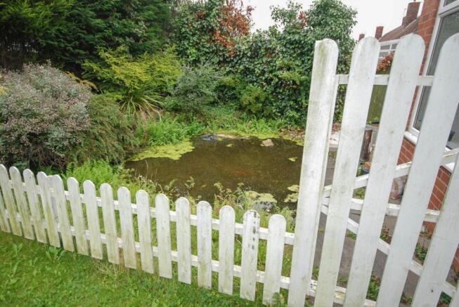 Pond