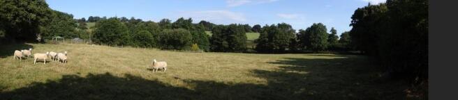 Photo 25