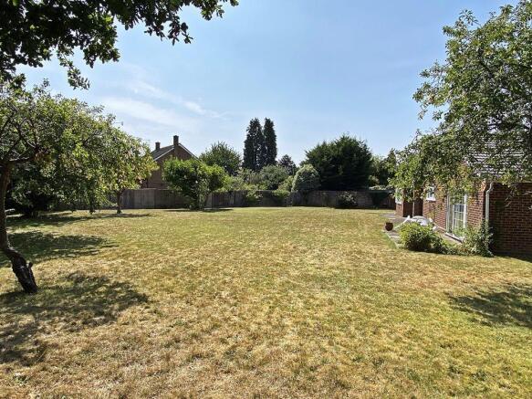 garden2.jpg