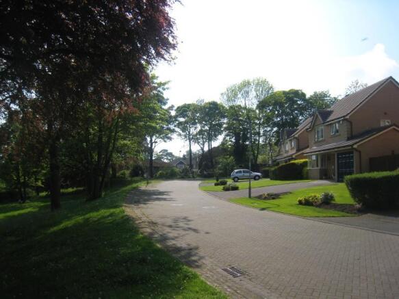 Image 13