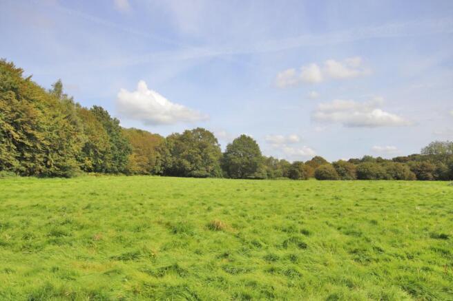Field