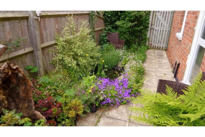 Side Garden