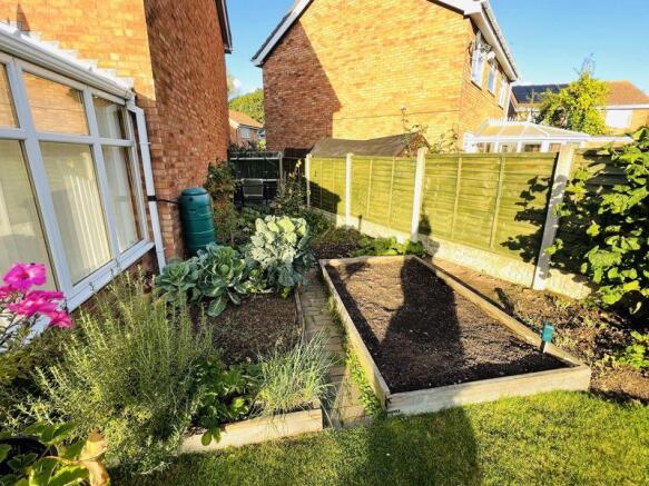 garden 3
