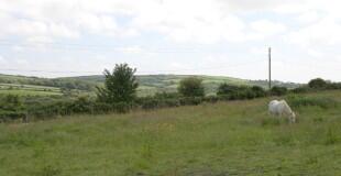 Land and View