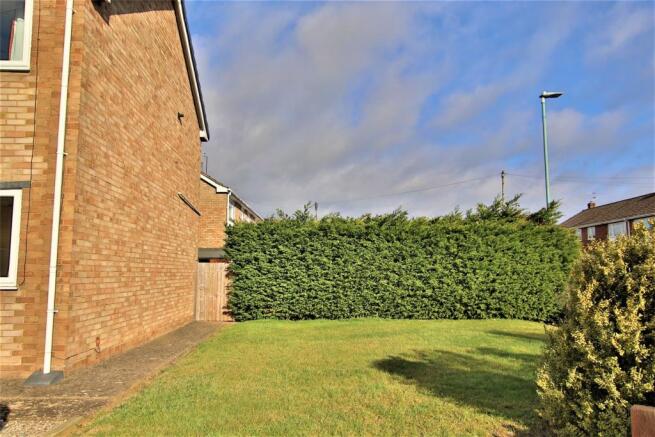 IMG_9354.JPG