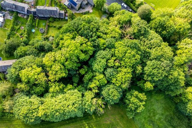 Woodland