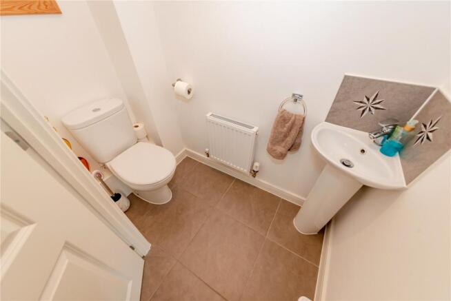 Picture 8