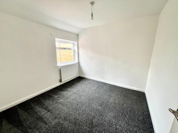 IMG_7354