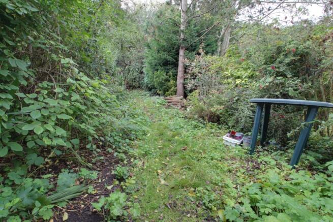 Part of the back garden
