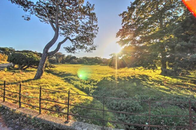 View from balcony (Walmer Castle field)