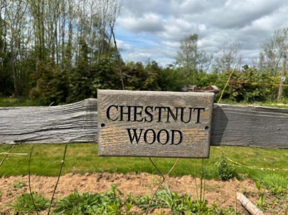 chestnut wood 6.jpg