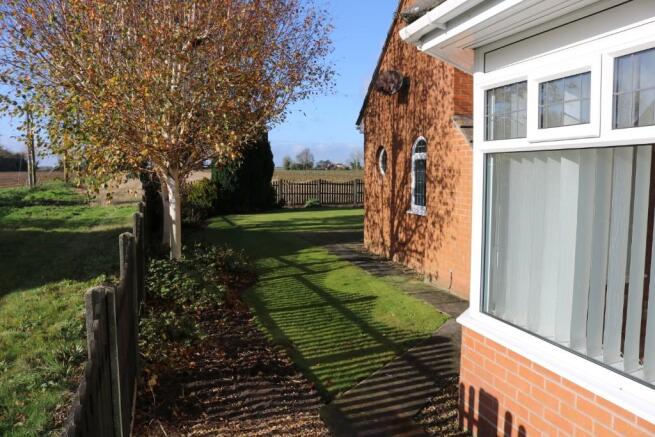 Side garden view