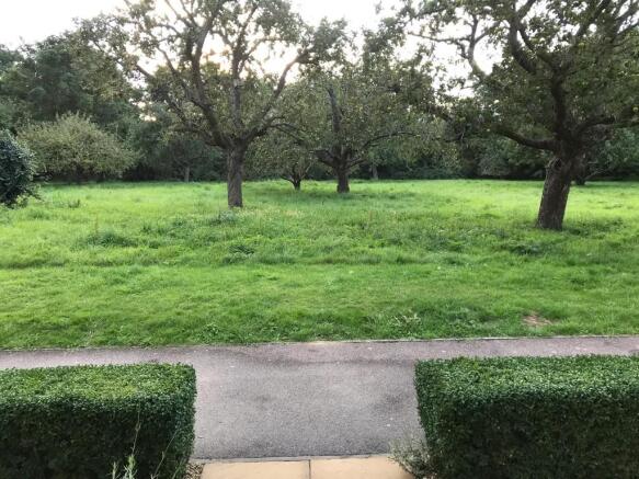 Orchard Views