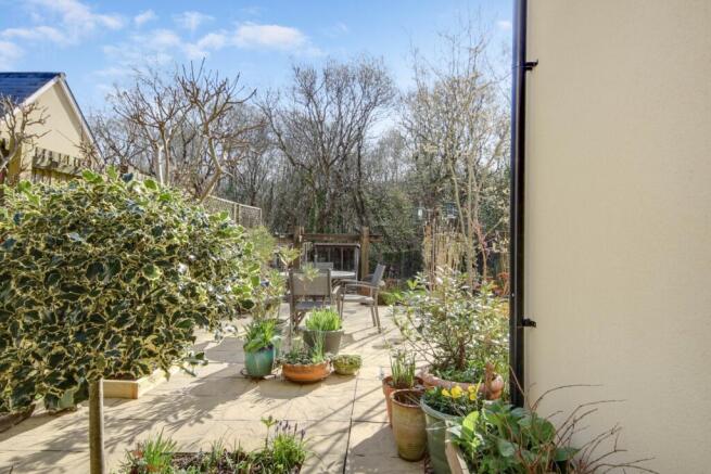 garden (1)