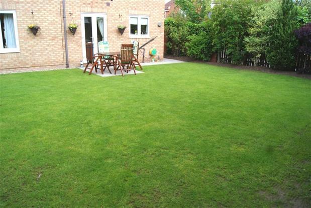 Rear Garden p4