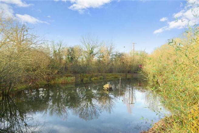 Communal Gardens/Lake
