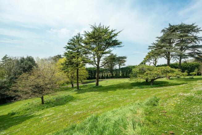 Garden_1.jpg
