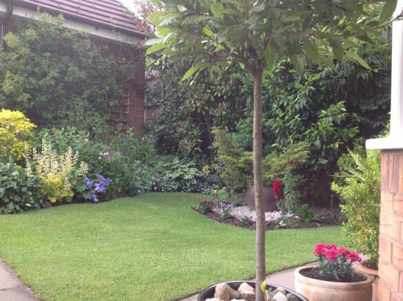 Photo 11