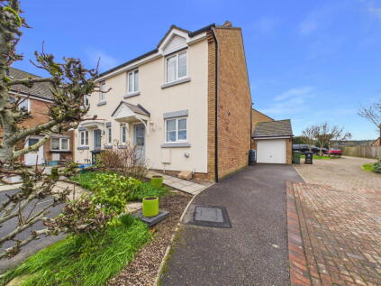 The Squirrels, Drybrook