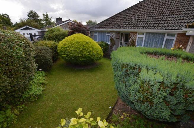 Photo 15