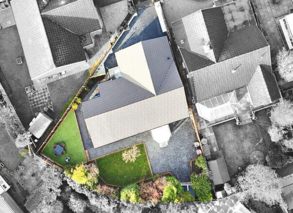 Ariel Black and White