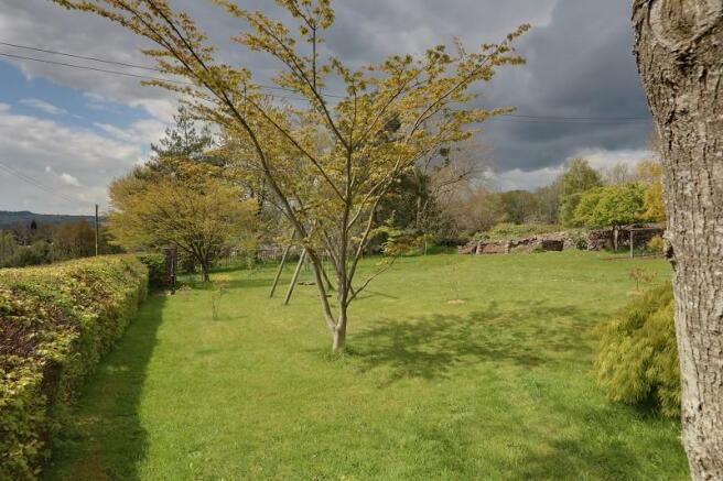 Orchard