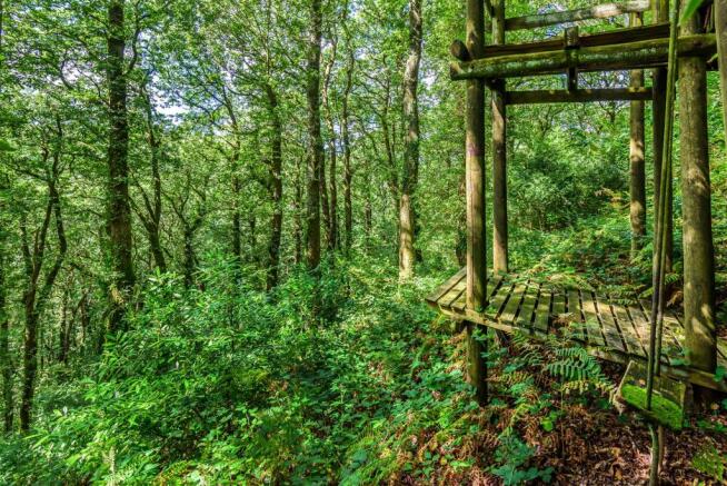Woodland